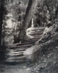 Big Sur Steps
