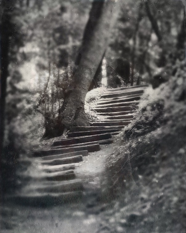 Big Sur Steps