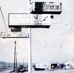 Ski Inn FOg